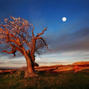 The winning image, "At the Dog Rocks," by Peter Hammer.